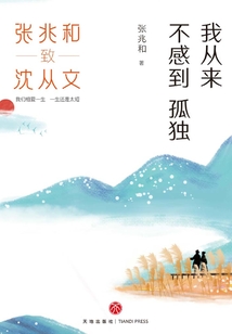 我从来不感到孤独