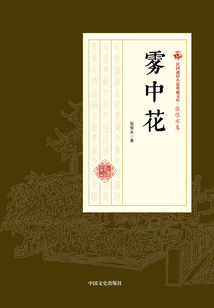 霧中花（民國(guó)通俗小說(shuō)典藏文庫(kù)·張恨水卷）