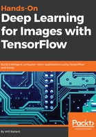 Hands-On Deep Learning for Images with TensorFlow在线阅读