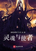 灵魂与使者在线阅读