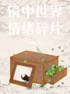 鏡中世界，情緒碎片在線閱讀