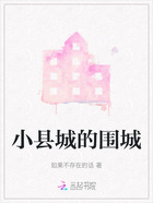 小县城的围城在线阅读