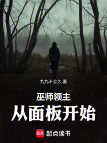 巫师领主:从面板开始 cover