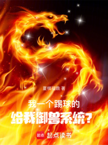 我一個踢球的,給我御獸系統?