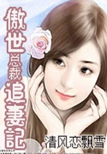 傲世總裁追妻記