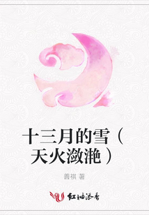 十三月的雪(天火瀲滟)