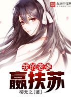 我的老婆嬴扶苏在线阅读