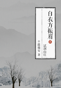 白衣方振眉2:試劍山莊