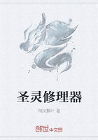 圣靈修理器在線閱讀