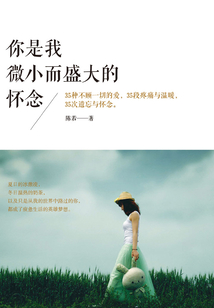 你是我微小而盛大的懷念