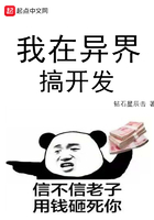 我在异界搞开发在线阅读