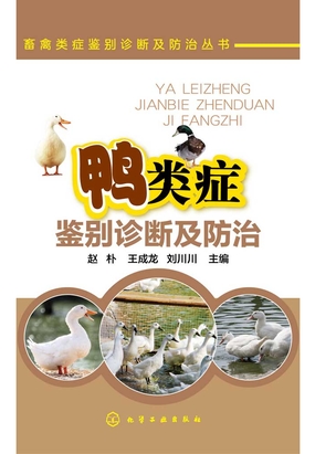 鸭类症鉴别诊断及防治在线阅读