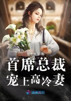 首席總裁寵上高冷妻在線閱讀