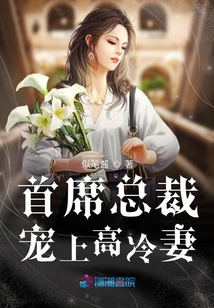 首席总裁宠上高冷妻