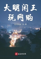 大明閑王玩網(wǎng)購(gòu)在線閱讀