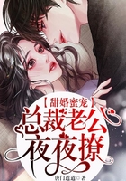 甜婚蜜宠:总裁老公夜夜撩