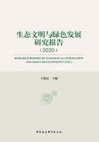 生态文明与绿色发展研究报告.2020