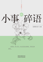 小事的碎语在线阅读