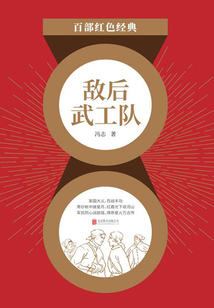 敵后武工隊(紅色經典)