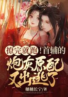 撩完就跑！首輔的炮灰原配又出逃了在線閱讀