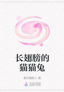 長翅膀的貓貓兔
