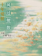十年爱恨,风过便散在线阅读