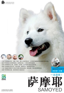 薩摩耶