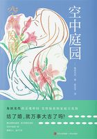 空中庭园在线阅读