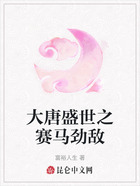 大唐盛世之赛马劲敌在线阅读