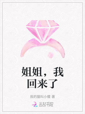 姐姐，我回来了在线阅读