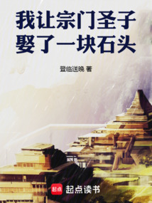我让宗门圣子娶了一块石头 cover