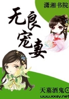 无良宠妻