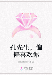 孔先生，偏偏喜歡你