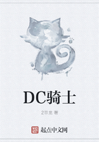 DC骑士