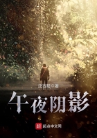 午夜陰影在線閱讀