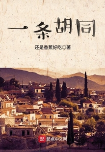 一條胡同