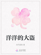 洋洋的大盗在线阅读
