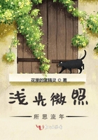 淺光微照所思流年在線閱讀