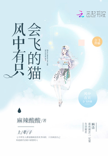 风中有只会飞的猫