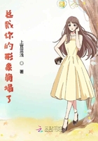 總裁你的形象崩塌了在線閱讀