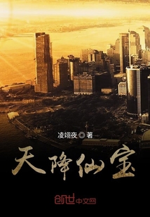 天降仙寶