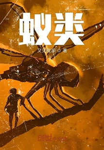 蚁类