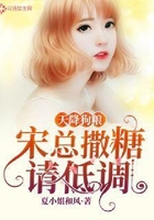 天降狗粮:宋总撒糖请低调在线阅读