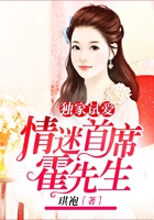 独家试爱:情迷首席霍先生
