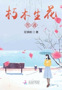朽木生花而遇