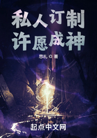 私人訂制：許愿成神在線閱讀