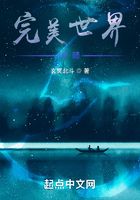 完美世界:六世