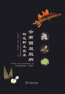 云南西雙版納特色野生蔬菜