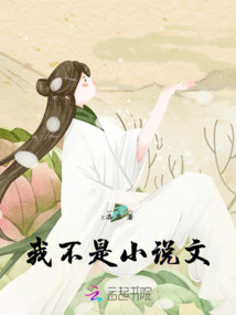 我不是小說文