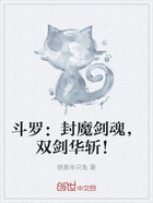 斗罗:封魔剑魂,双剑华斩!在线阅读